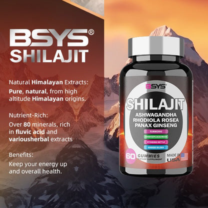 BSYS 8 - in - 1 Shilajit Gummies für Energie, Immunität und Wohlbefinden – 60 Stück - Si.Kreativkauf