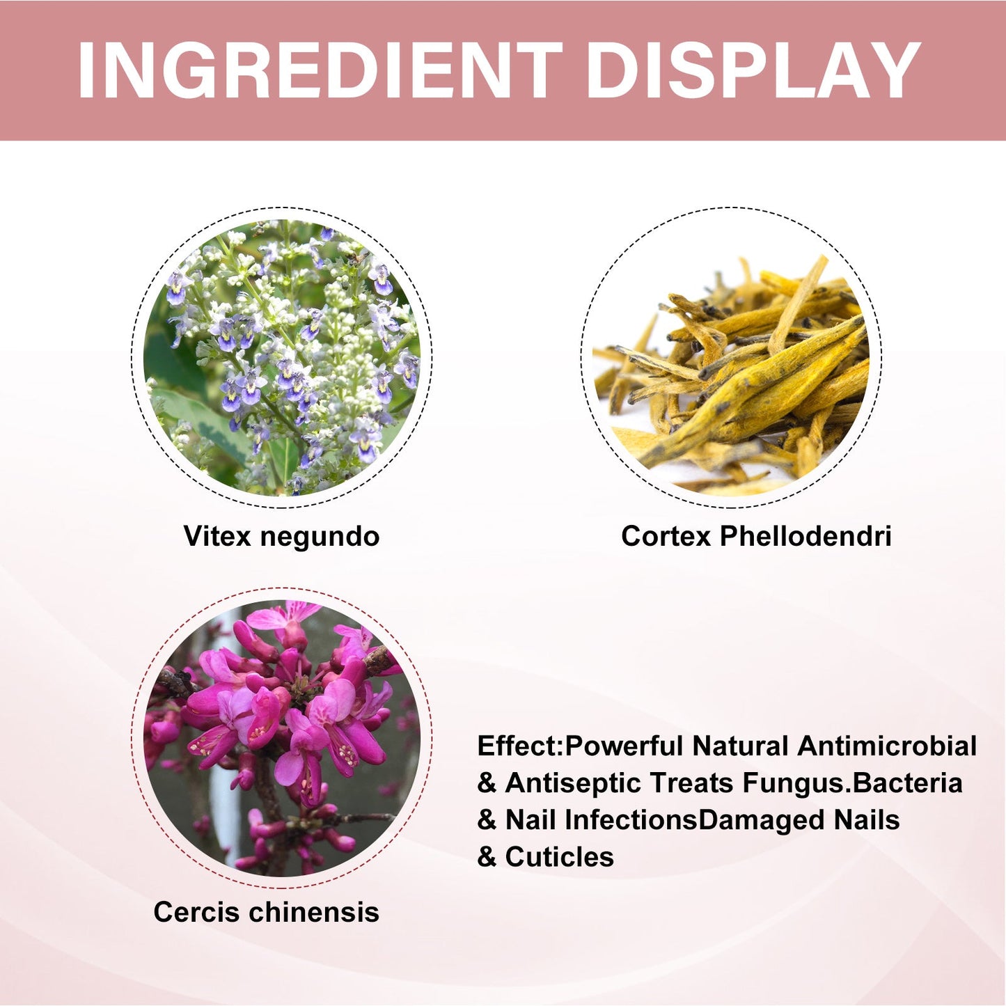 EELHOE Nagelreparaturlösung für gesunde, hydratisierte Hände - Feuchtigkeitsspendende Pflege - Si.Kreativkauf