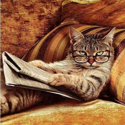 Katze Malen - nach - Zahlen - Set zum Selbermachen für kreative Tierliebhaber - Si.Kreativkauf